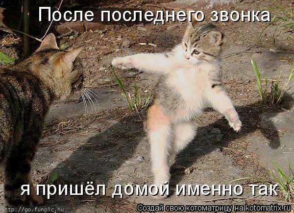 Котоматрица: После последнего звонка я пришёл домой именно так
