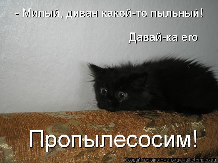 Котоматрица: - Милый, диван какой-то пыльный!  Давай-ка его Пропылесосим!