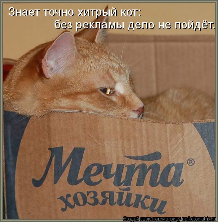 Котоматрица: Знает точно хитрый кот: без рекламы дело не пойдёт.
