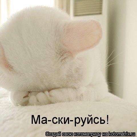 Котоматрица: Ма-ски-руйсь!