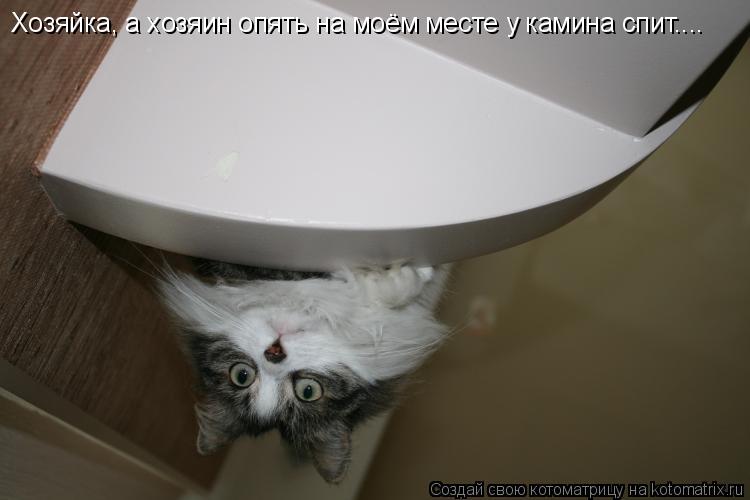 Котоматрица: Хозяйка, а хозяин опять на моём месте у камина спит....