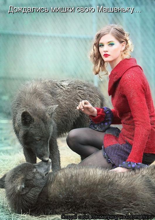 Котоматрица: Дождались мишки свою Машеньку....