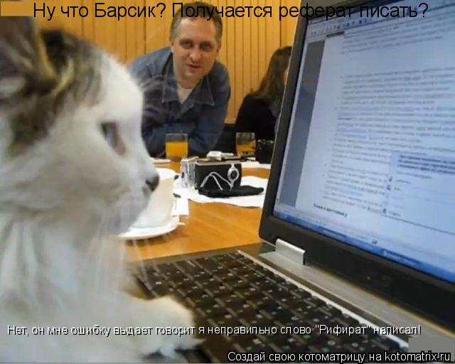 Котоматрица: Ну что Барсик? Получается реферат писать? Нет, он мне ошибку выдает говорит я неправильно слово "Рифират" написал!