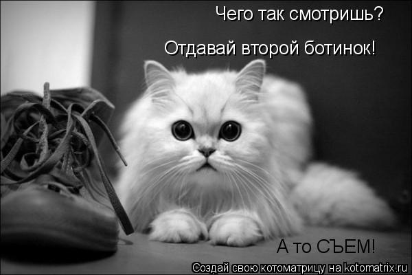 Котоматрица: Чего так смотришь? Отдавай второй ботинок! А то СЪЕМ!