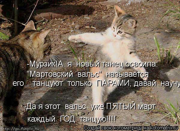 каждый ГОД танцую!!!! -Да я этот вальс уже ПЯТЫЙ март -Мурзик!А я новый танец освоила: "Мартовс... Котоматрица: каждый ГОД танцую!!!! -Да я этот вальс уже ПЯТЫЙ март -Мурзик!А я новый танец освоила: "Мартовский вальс" называется его танцуют только