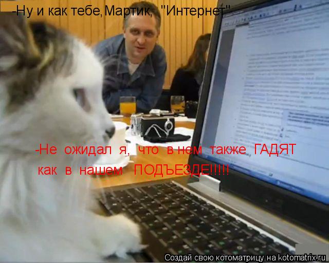 Котоматрица: -Не  ожидал  я,  что  в нем  также  ГАДЯТ как  в  нашем   ПОДЪЕЗДЕ!!!!! -Ну и как тебе,Мартик,  "Интернет"