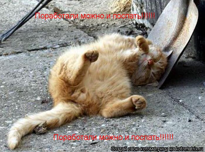Котоматрица: Поработали можно и поспать!!!!!! Поработали можно и поспать!!!!!!