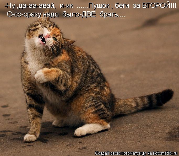 Котоматрица: -Ну ,да-аа-авай,  и-ик  ......Пушок , беги  за ВТОРОЙ!!! С-сс-сразу надо  было-ДВЕ  брать....