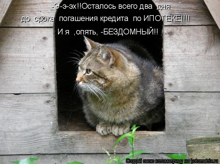 Котоматрица: -Э-э-эх!!Осталось всего два  дня до  срока  погашения кредита  по ИПОТЕКЕ!!!! И я  ,опять, -БЕЗДОМНЫЙ!!
