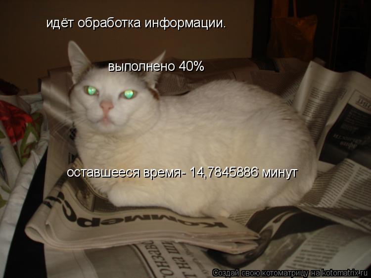 Котоматрица: идёт обработка информации. выполнено 40% оставшееся время- 14,7845886 минут