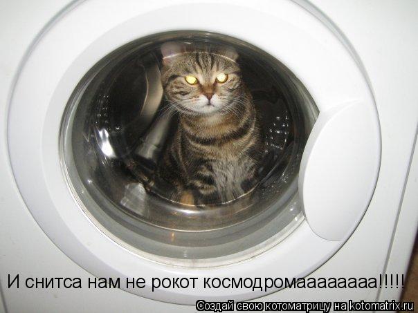 Котоматрица: И снитса нам не рокот космодромаааааааа!!!!!