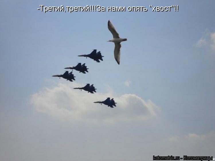 Котоматрица: -Третий,третий!!!За нами опять "хвост"!!