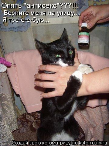 Котоматрица: Опять "антисекс"???!!!  Верните меня на улицу.... Я тре-е-е-бую...