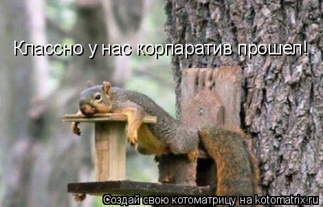 Котоматрица: Классно у нас корпаратив прошел!