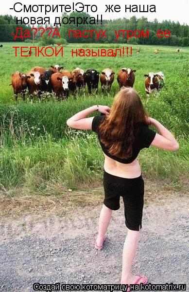Котоматрица: -Смотрите!Это  же наша  новая доярка!! -Да???А  пастух  утром  ее ТЕЛКОЙ  называл!!!