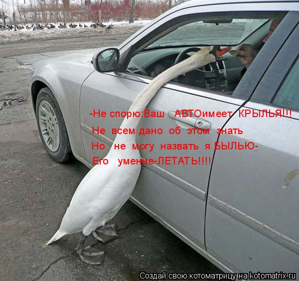 Котоматрица: -Не спорю:Ваш   АВТОимеет  КРЫЛЬЯ!!! Не  всем дано  об  этом  знать Но   не  могу  назвать  я БЫЛЬЮ- Его   умение-ЛЕТАТЬ!!!!