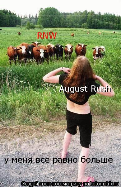 RNW August Rush у меня все равно больше... Котоматрица: RNW August Rush у меня все равно больше