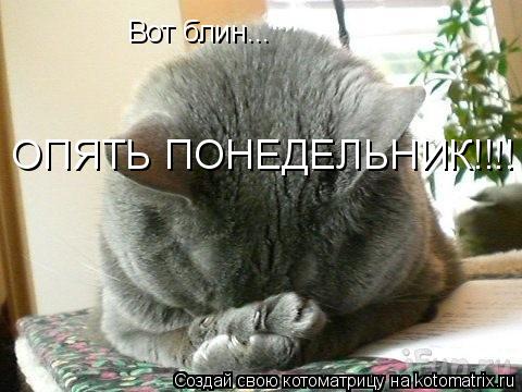 Вот блин... ОПЯТЬ ПОНЕДЕЛЬНИК!!!!... Котоматрица: Вот блин... ОПЯТЬ ПОНЕДЕЛЬНИК!!!!