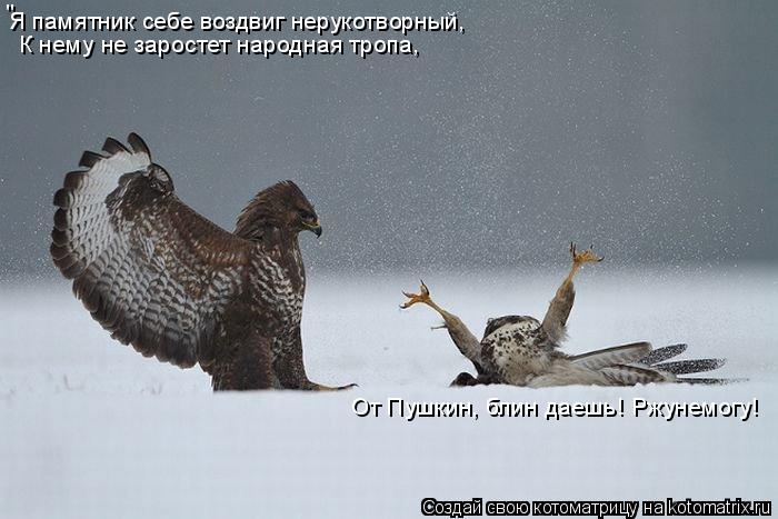 Я памятник себе воздвиг нерукотворный, К нему не заростет народная тропа, " От Пушкин, блин даешь!... Котоматрица: Я памятник себе воздвиг нерукотворный, К нему не заростет народная тропа, " От Пушкин, блин даешь! Ржунемогу!