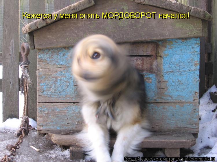 Кажется у меня опять МОРДОВОРОТ начался!... Котоматрица: Кажется у меня опять МОРДОВОРОТ начался!