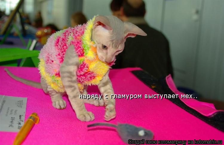 наряду с гламуром выступает мех..... Котоматрица: наряду с гламуром выступает мех..