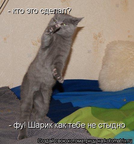 - кто это сделал? - фу! Шарик как тебе не стыдно... Котоматрица: - кто это сделал? - фу! Шарик как тебе не стыдно