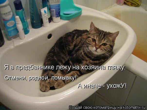 Я в предбаннике лежу на хозяина гляжу: Отмени, родной, помывку! А иначе - ухожУ!... Котоматрица: Я в предбаннике лежу на хозяина гляжу: Отмени, родной, помывку! А иначе - ухожУ!