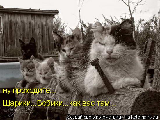 ну проходите... Шарики...Бобики...как вас там...... Котоматрица: ну проходите... Шарики...Бобики...как вас там...