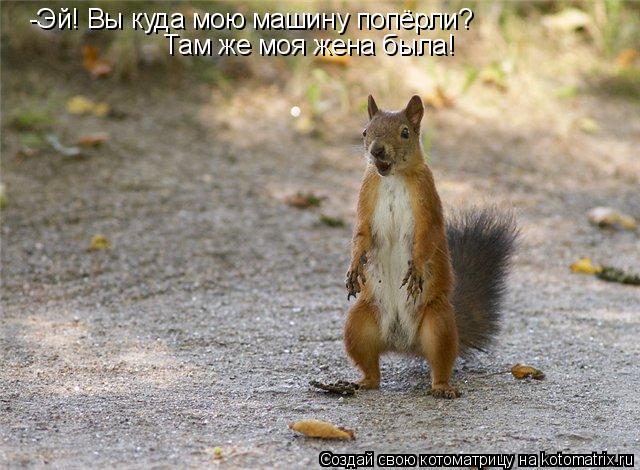 -Эй! Вы куда мою машину попёрли? Там же моя жена была!... Котоматрица: -Эй! Вы куда мою машину попёрли? Там же моя жена была!
