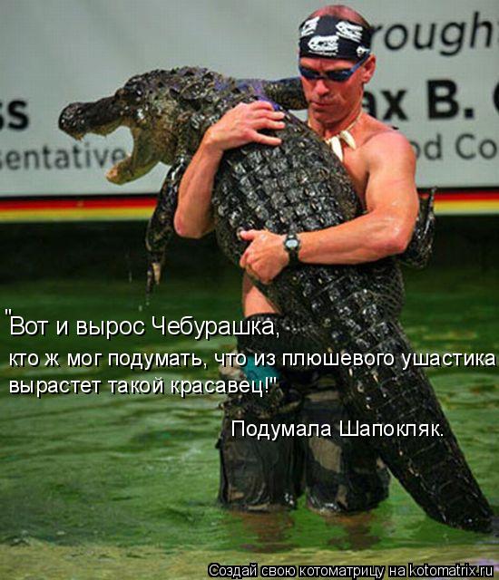 Вот и вырос Чебурашка, кто ж мог подумать, что из плюшевого ушастика вырастет такой красавец!" Подум... Котоматрица: Вот и вырос Чебурашка, кто ж мог подумать, что из плюшевого ушастика вырастет такой красавец!" Подумала Шапокляк. "