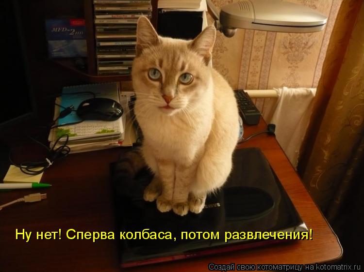 Ну нет! Сперва колбаса, потом развлечения!... Котоматрица: Ну нет! Сперва колбаса, потом развлечения!