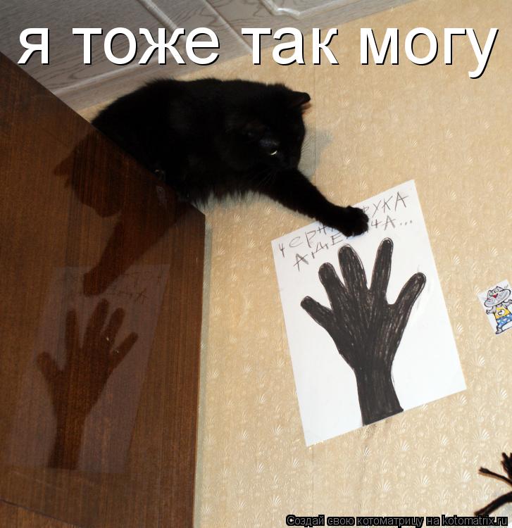 я тоже так могу... Котоматрица: я тоже так могу
