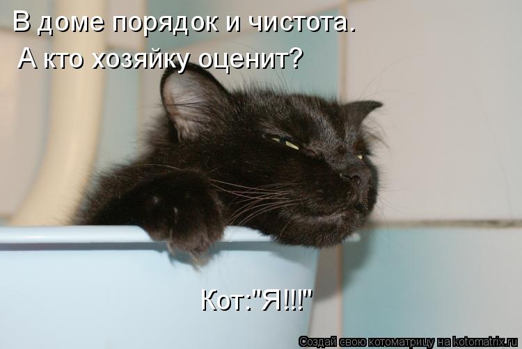 В доме порядок и чистота. А кто хозяйку оценит? Кот:"Я!!!"... Котоматрица: В доме порядок и чистота. А кто хозяйку оценит? Кот:"Я!!!"