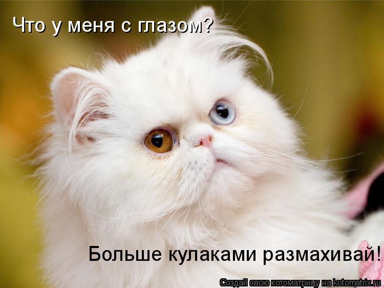 Что у меня с глазом? Больше кулаками размахивай!... Котоматрица: Что у меня с глазом? Больше кулаками размахивай!