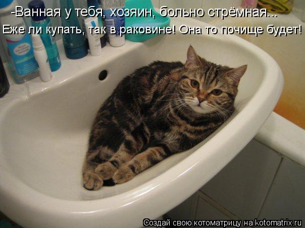 -Ванная у тебя, хозяин, больно стрёмная... Еже ли купать, так в раковине! Она то почище будет!... Котоматрица: -Ванная у тебя, хозяин, больно стрёмная... Еже ли купать, так в раковине! Она то почище будет!