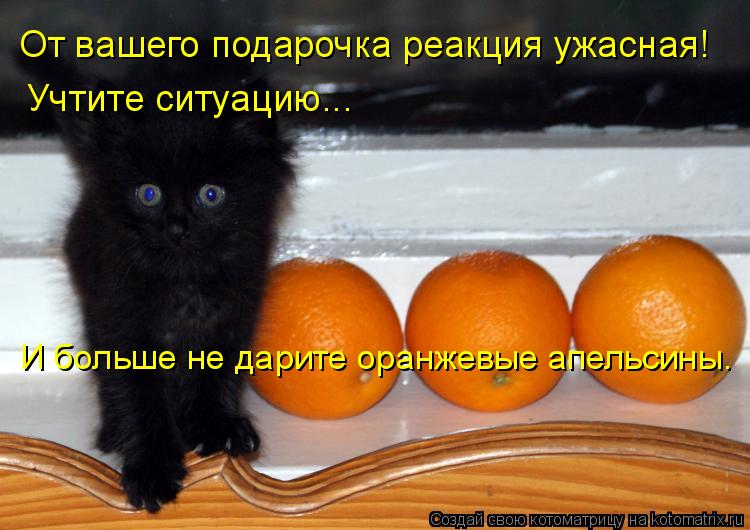 От вашего подарочка реакция ужасная! Учтите ситуацию... И больше не дарите оранжевые апельсины.... Котоматрица: От вашего подарочка реакция ужасная! Учтите ситуацию... И больше не дарите оранжевые апельсины.
