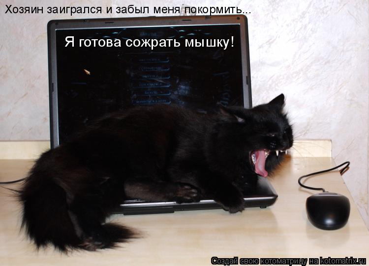 Я готова сожрать мышку! Хозяин заигрался и забыл меня покормить...... Котоматрица: Я готова сожрать мышку! Хозяин заигрался и забыл меня покормить...