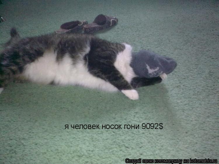 я человек носок гони 9092$... Котоматрица: я человек носок гони 9092$
