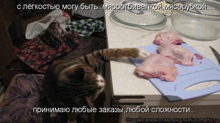 с лёгкостью могу быть :мясоотбивалкой,мясорубкой.... принимаю любые заказы,любой сложности..... Котоматрица: с лёгкостью могу быть :мясоотбивалкой,мясорубкой.... принимаю любые заказы,любой сложности..