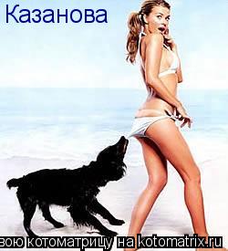 Котоматрица: Казанова