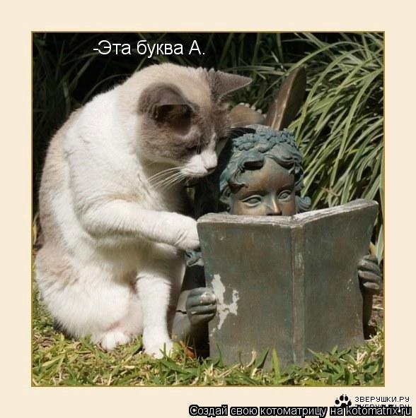 Котоматрица: -Эта буква А.