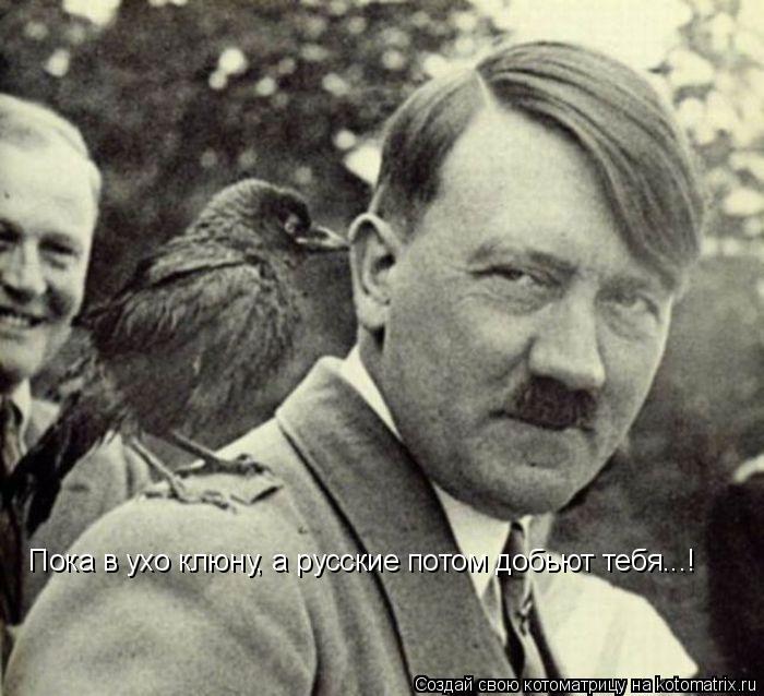 Котоматрица: Пока в ухо клюну, а русские потом добьют тебя...!