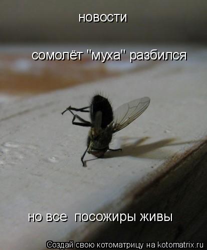 Котоматрица: новости сомолёт "муха" разбился  но все  посожиры живы