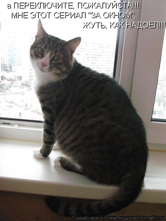 Котоматрица: а ПЕРЕКЛЮЧИТЕ, ПОЖАЛУЙСТА!!! МНЕ ЭТОТ СЕРИАЛ "ЗА ОКНОМ", ЖУТЬ, КАК НАДОЕЛ!!!