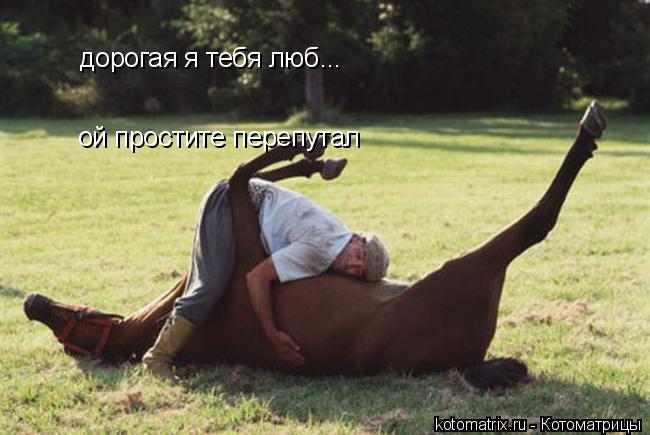 Котоматрица: дорогая я тебя люб... ой простите перепутал