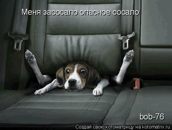Котоматрица: Меня засосало опасное сосало bob-76