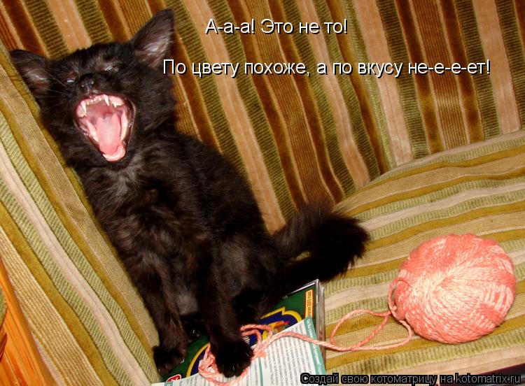 Котоматрица: А-а-а! Это не то! По цвету похоже, а по вкусу не-е-е-ет!