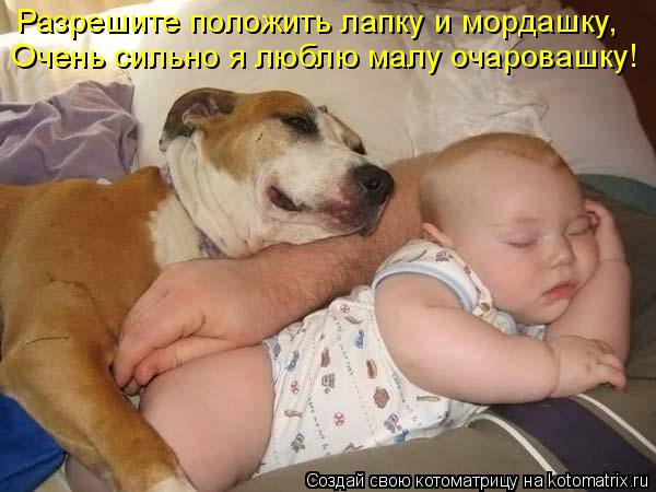 Котоматрица: Разрешите положить лапку и мордашку, Очень сильно я люблю малу очаровашку!