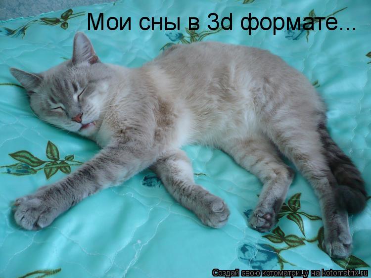 Котоматрица: Мои сны в 3d формате...
