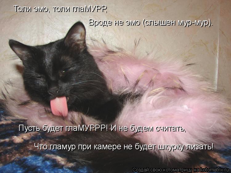 Котоматрица: Толи эмо, толи глаМУРР, Вроде не эмо (слышен мур-мур). Пусть будет глаМУРРР! И не будем считать, Что гламур при камере не будет шкурку лизать!